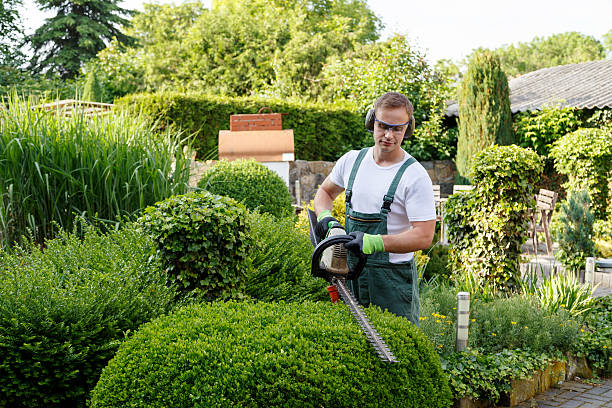 Best Commercial Tree Services  in Lake Darby, OH